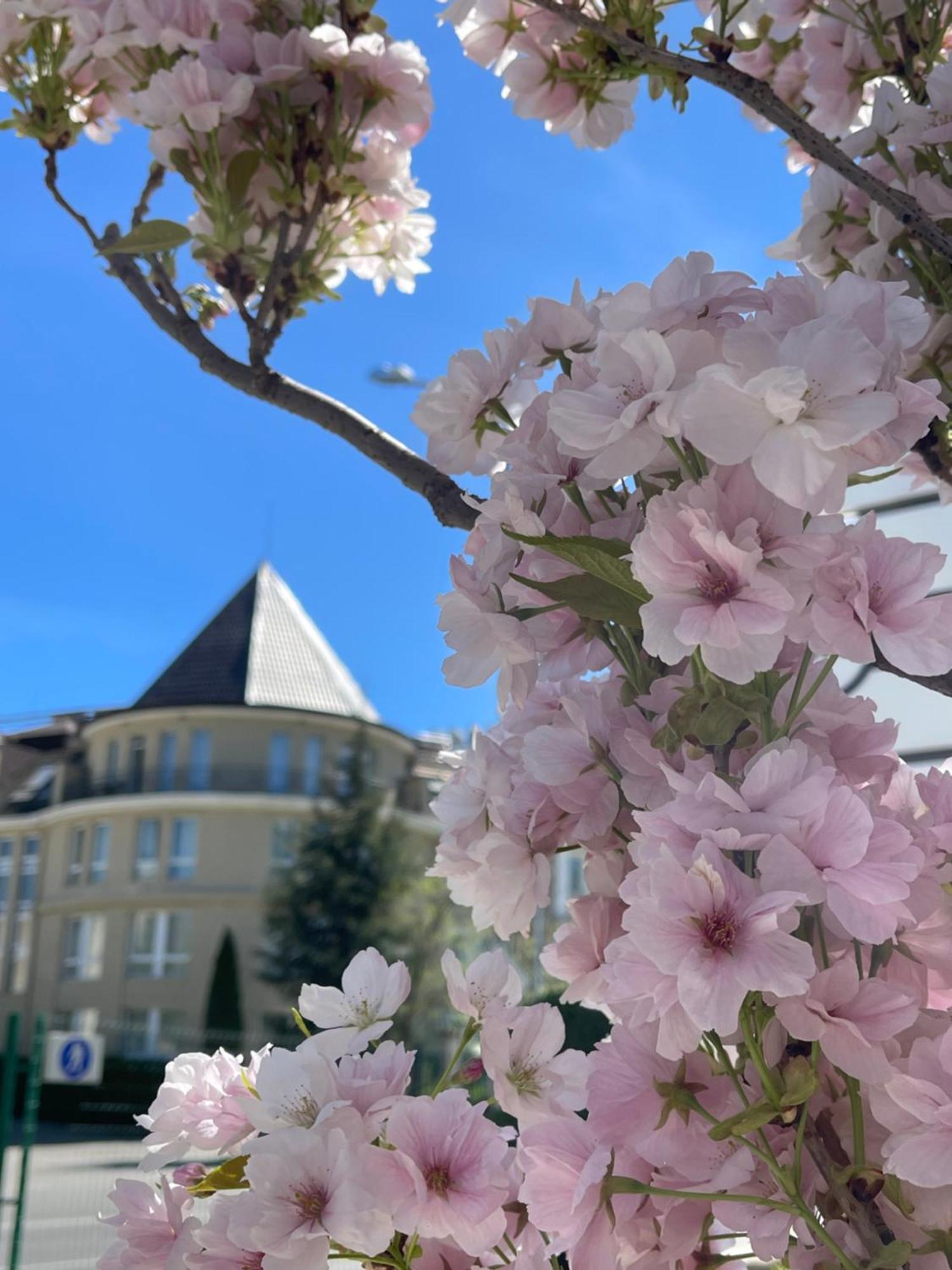 Hotel Maison - Mgallery